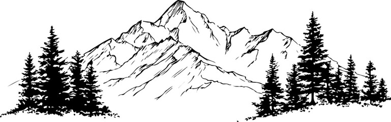 "Monochrome Wilderness"