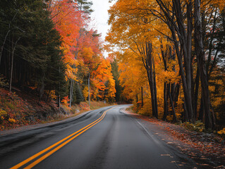 Obraz premium Road Autumn Through Vibrant Fall Foliage