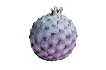 Tips for selecting and storing custard apple to stay fresh isolated on transparent background