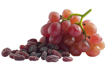Grapes drying process to become raisins isolated on transparent background