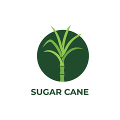 sugarcane vector green plant logo