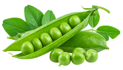 Fresh green peas isolated on white background, showing the healthy, sweet vegetable pod.