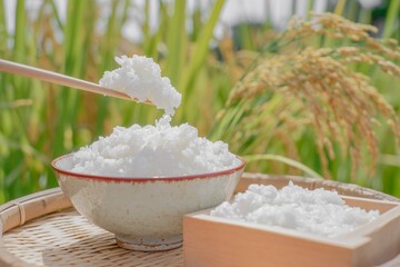 お茶碗に盛られた白米のごはんと稲穂