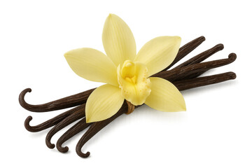 Vanilla flower and beans displaying natural flavoring ingredient
