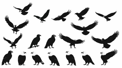 Collection of eagle silhouettes in various poses, including flying, standing, and with wings spread, against a white background.