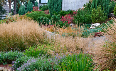 A public place.
Summer city park, urban park landscaping, plants, trees