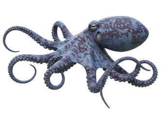Isolated realistic 3D render of a vibrant blue and purple octopus with detailed tentacles and suckers a fascinating marine creature © Finn