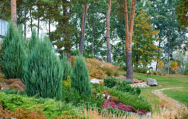 A public place.
Summer city park, urban park landscaping, plants, trees