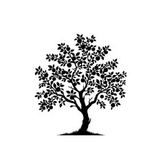 Apple Tree Vector &ndash; Fresh Orchard with Ripe Red Apples