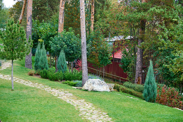 A public place.
Summer city park, urban park landscaping, plants, trees