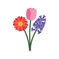 Spring floral bouquet gerbera tulip hyacinth colorful bloom botanical nature collection vector
