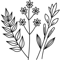 Botanical Line Art Collection