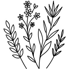 Botanical Line Art Collection