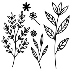 Botanical Line Art Collection
