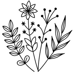 Botanical Line Art Collection