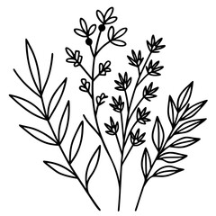 Botanical Line Art Collection