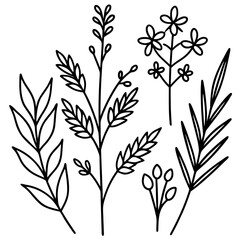 Naklejka premium Botanical Line Art Collection