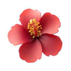 red hibiscus flower isolated on transparent background