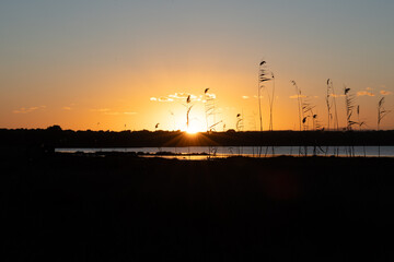 Reeds silhouetted against a vibrant autumn sunset over tranquil lake waters, reflecting colorful golden hour sky