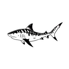 Tiger Shark. Tiger Shark simple black and white line art vector logo