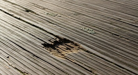 Close-up of weathered wooden deck planks with a damaged area.