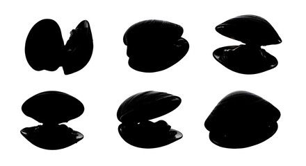 Silhouetted mussels isolated on white background showing different views and positions