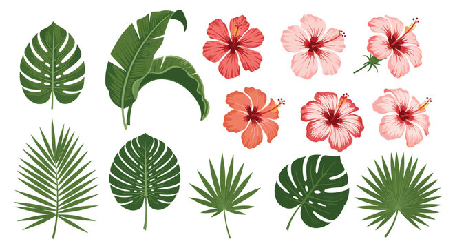 A vibrant collection of tropical leaves and hibiscus flowers.
