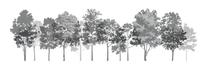 Monochrome Tree Line Silhouette Vector Illustration for Forest Design and Natural Landscape Projects a Minimalist Aesthetic for Ecological or Artistic Compositions