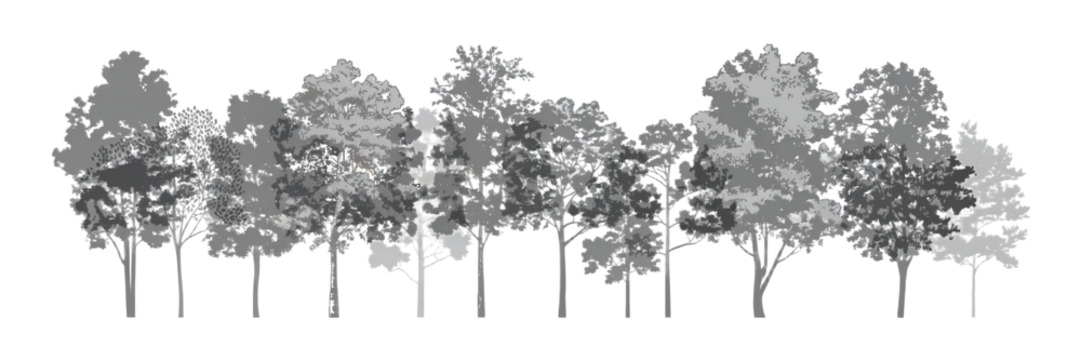 Monochrome Tree Line Silhouette Vector Illustration for Forest Design and Natural Landscape Projects a Minimalist Aesthetic for Ecological or Artistic Compositions