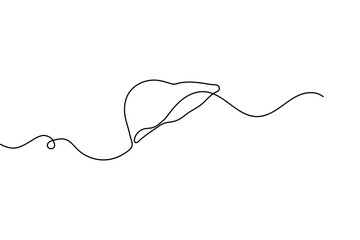 Human liver anatomy outline continuous one line drawing minimalist medical organ vector illustration
