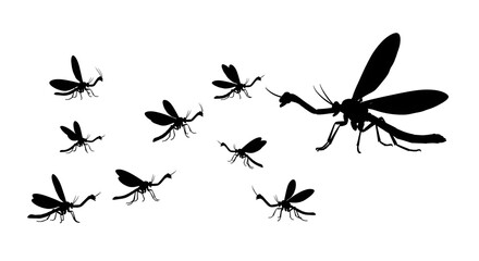 Silhouette of crane flies isolated on white background in various sizes and positions
