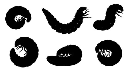 Silhouetted grub isolated on white background, displaying different positions and forms
