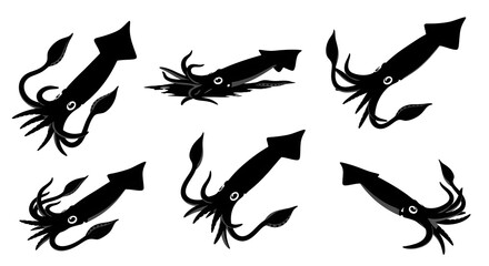 Silhouette of various squids isolated on white background, each in different poses