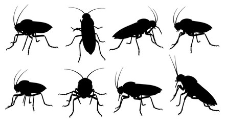 Collection of cockroach silhouettes isolated on white background, different perspectives