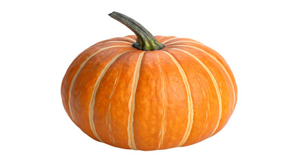 Obraz premium pumpkin isolated on white background