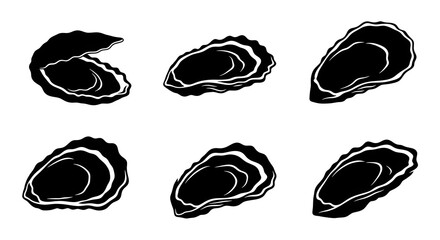 Six oyster shells are displayed isolated on white background in a pattern