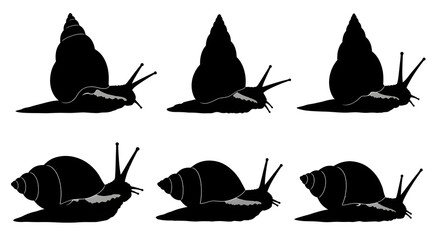 Group of snail silhouettes isolated on white background showing different angles