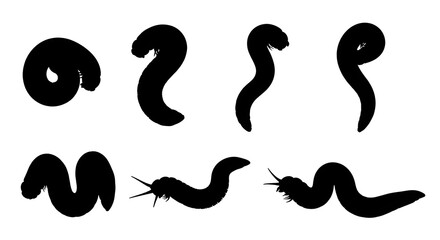 Silhouette of worms in various poses isolated on white background