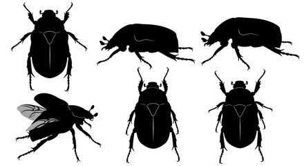 Various scarab beetle silhouettes isolated on white background in different poses