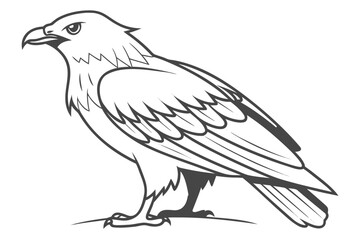 Raven vs Crow Size Comparison Vector Line Art - Black Bird Wildlife Graphic
