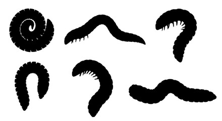 Six black millipede silhouettes isolated on white background, in various positions