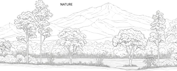 Fototapeta premium Isolated a Architectural Drawings, plant vector in park out door illustration, top view, Minimal style hand drawn, set elements for architecture and landscape design. vector art with white background.