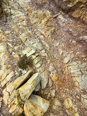 Nature's artistry revealed in rocky terrains and earthy hues surrounding a lone shrub under the warm sun