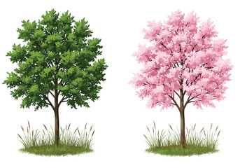 Obraz premium Beautiful lush green tree and soft pink blossoming tree side by side, seasonal contrast, outdoor garden landscape, natural foliage, spring nature scenery environment