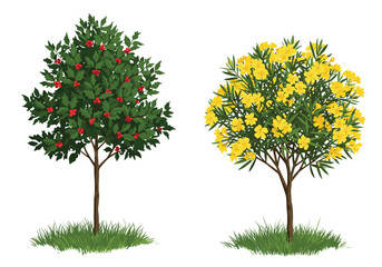 Obraz premium Beautiful seasonal trees with green foliage, red berries, and yellow blossoms, natural garden plants, eco friendly decorative landscape illustration for spring and summer