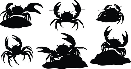Silhouette of crabs, marine animal illustration, sea creature vector, wildlife ocean drawing, crustacean shapes, isolated crab collection, biology aquatic nature study design