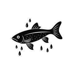 Danios fish jumping out of water with splash and droplets