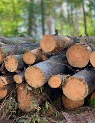 Firewood preparation for heating - stacked logs and wood chopping process, fuel supply for winter.