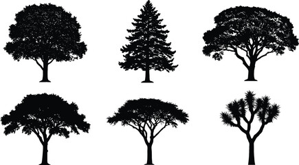 Tree silhouette, black shape, botanical icon, foliage variety, nature graphic, plant form, landscape element, isolated tree, vector set, minimal design