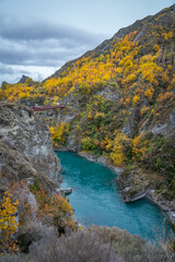 stunning view of turquoise kawarau river and yellow colorful leaves tree on the hill along the river is beautiful landscape of South Island New Zealand 